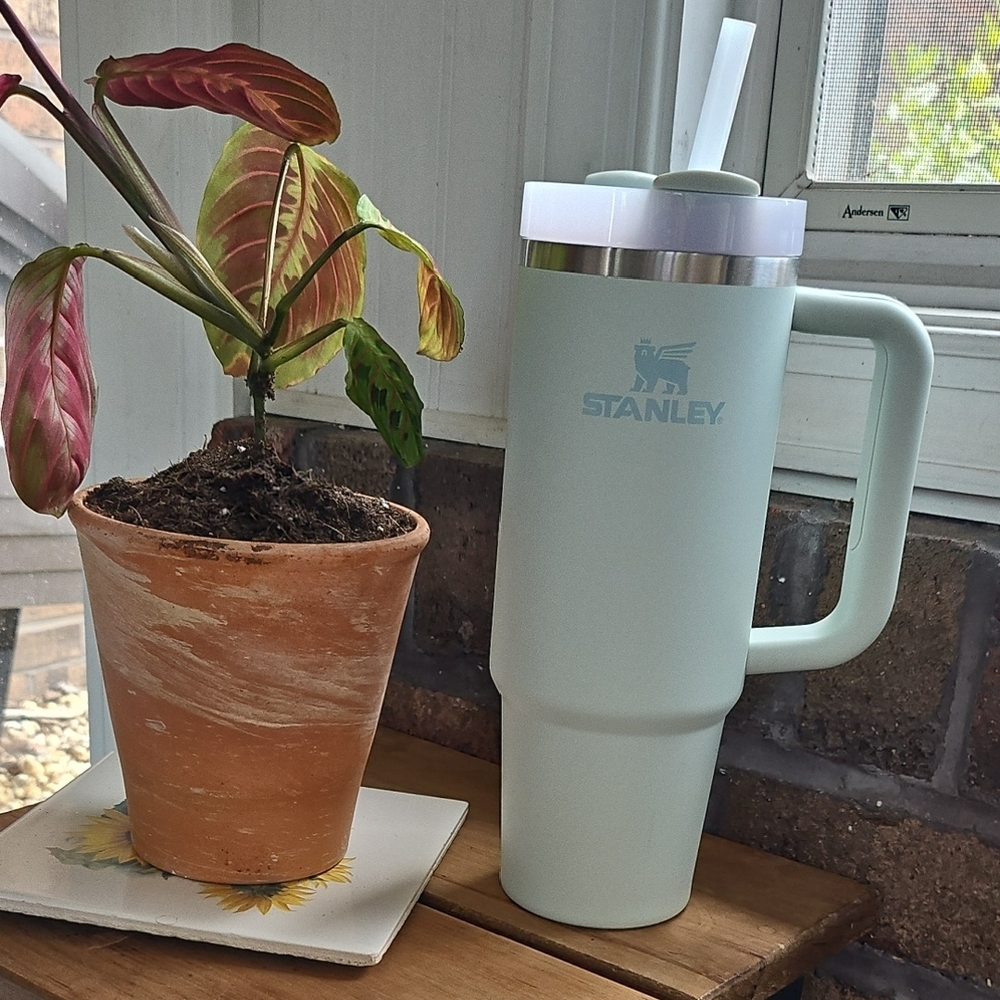 Stanley Mint Green 30 OZ Travel Mug with Handle